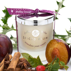 Spiced Plum Med Candle
